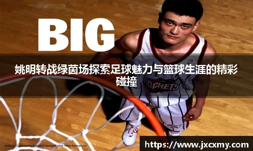 必一运动bsports官方网站